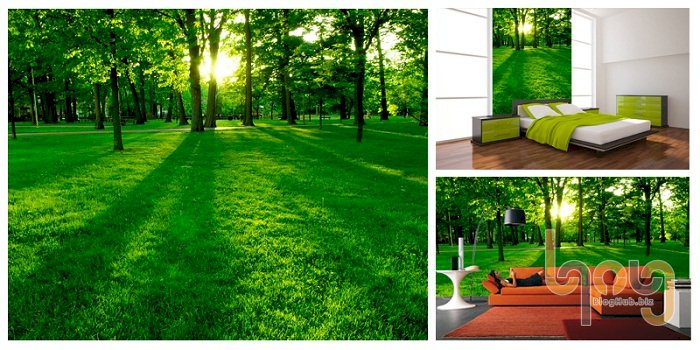 Bí kíp hô biến những bức tường cũ trở nên sinh động hơn
