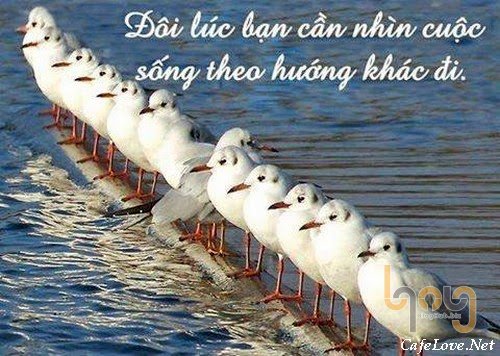 Câu chuyện hay về ý nghĩa cuộc sống