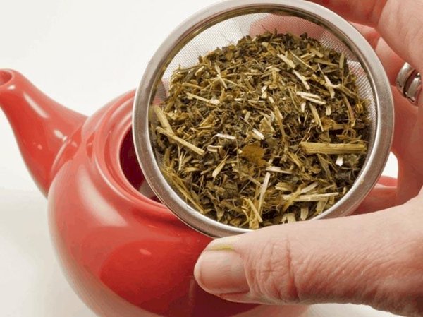 4 loại thảo dược trị mất ngủ cho người già bạn đã biết chưa?