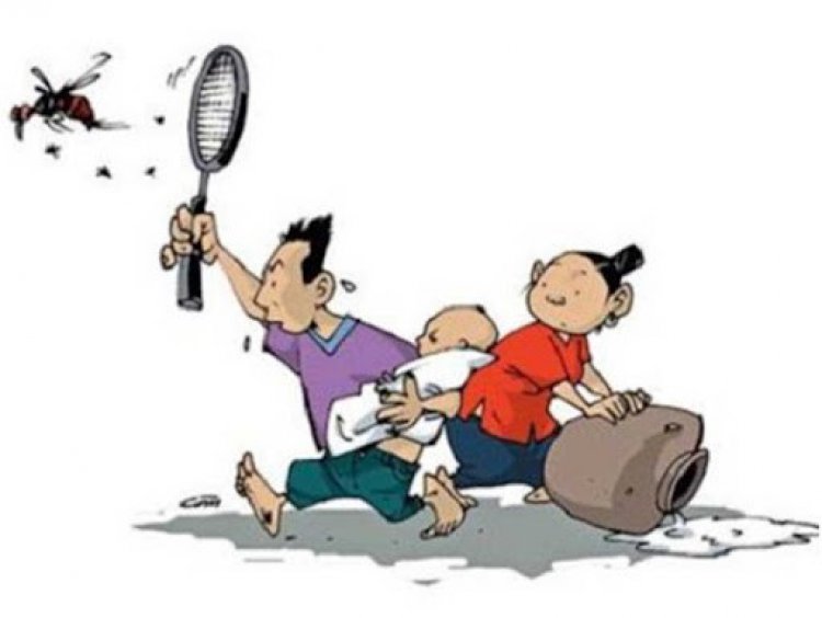Nhớ ngay 4 cách phòng sốt xuất huyết để bảo vệ sức khỏe tốt nhất