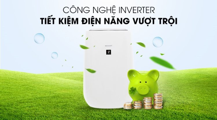 6 Ưu điểm không thể bỏ lỡ của máy lọc không khí