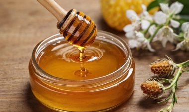 Cách trị mụn bằng mật ong tại nhà đơn giản nhưng cực hiệu quả