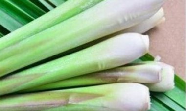 Thổi bay cảm lạnh bằng lá sả – Dễ làm, ai cũng làm được!