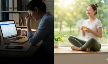 Nghỉ ngơi đúng cách để làm việc tốt hơn – Không phải ai cũng biết